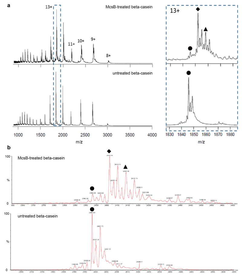 Extended Data Figure 7