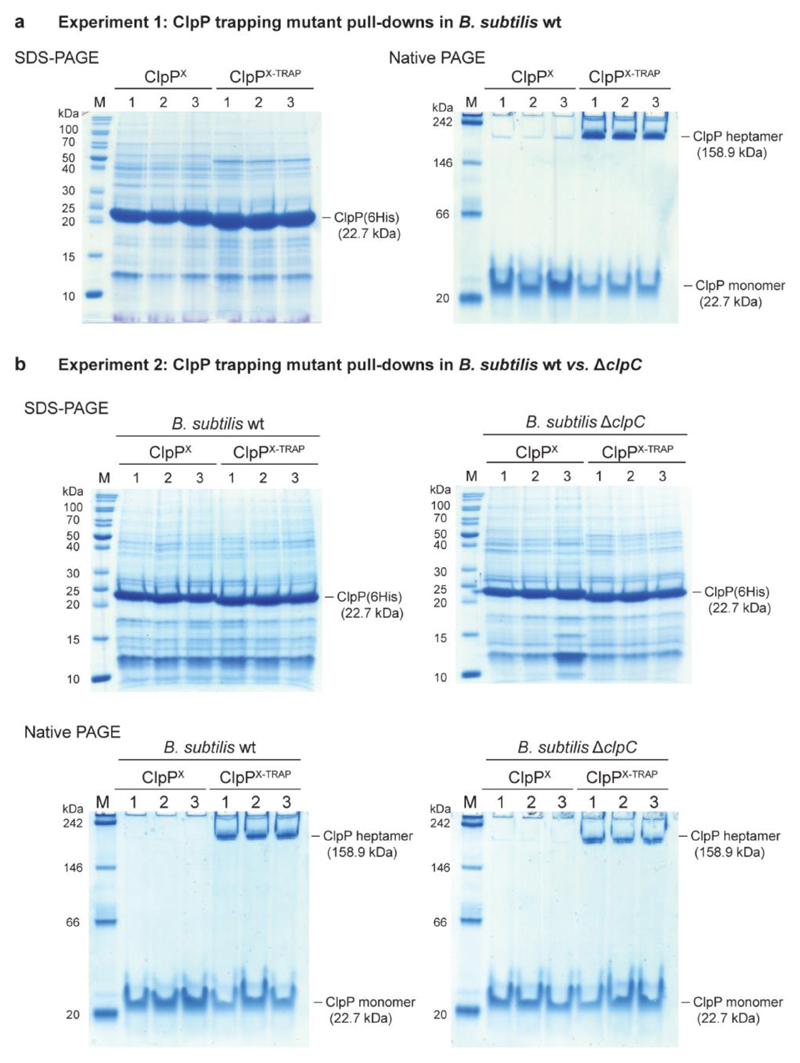 Extended Data Figure 2