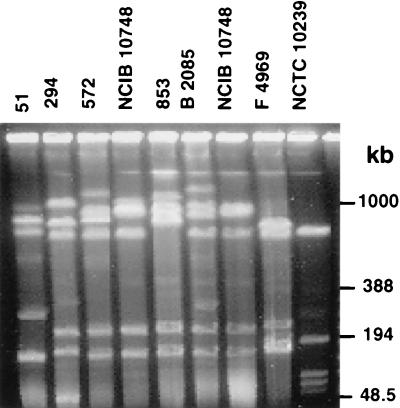 FIG. 5