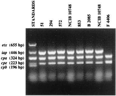 FIG. 1