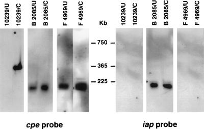 FIG. 6