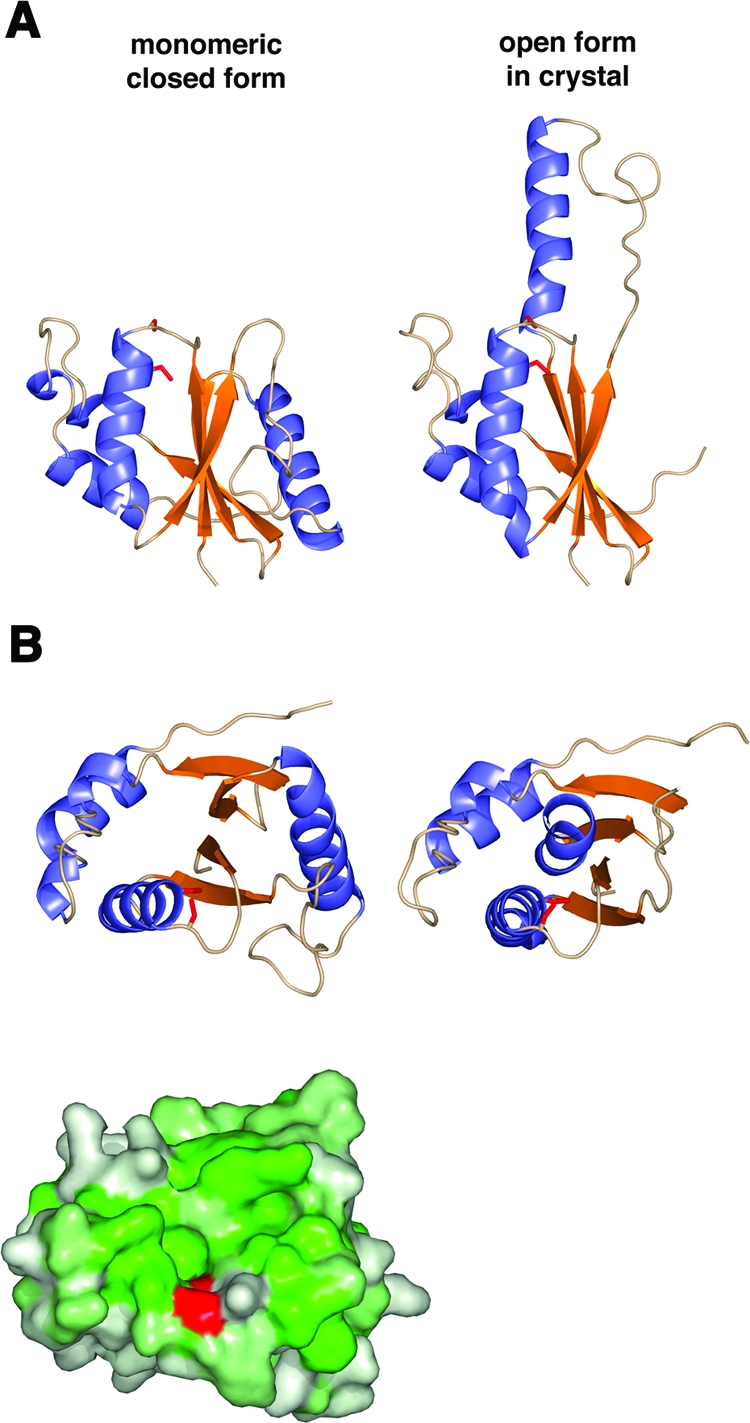 FIG. 6.