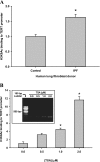 <i>Figure 6.</i>