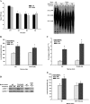 <i>Figure 3.</i>