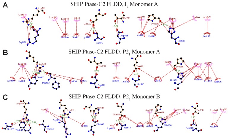 Figure 1—figure supplement 2.