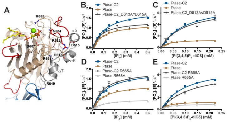 Figure 7.