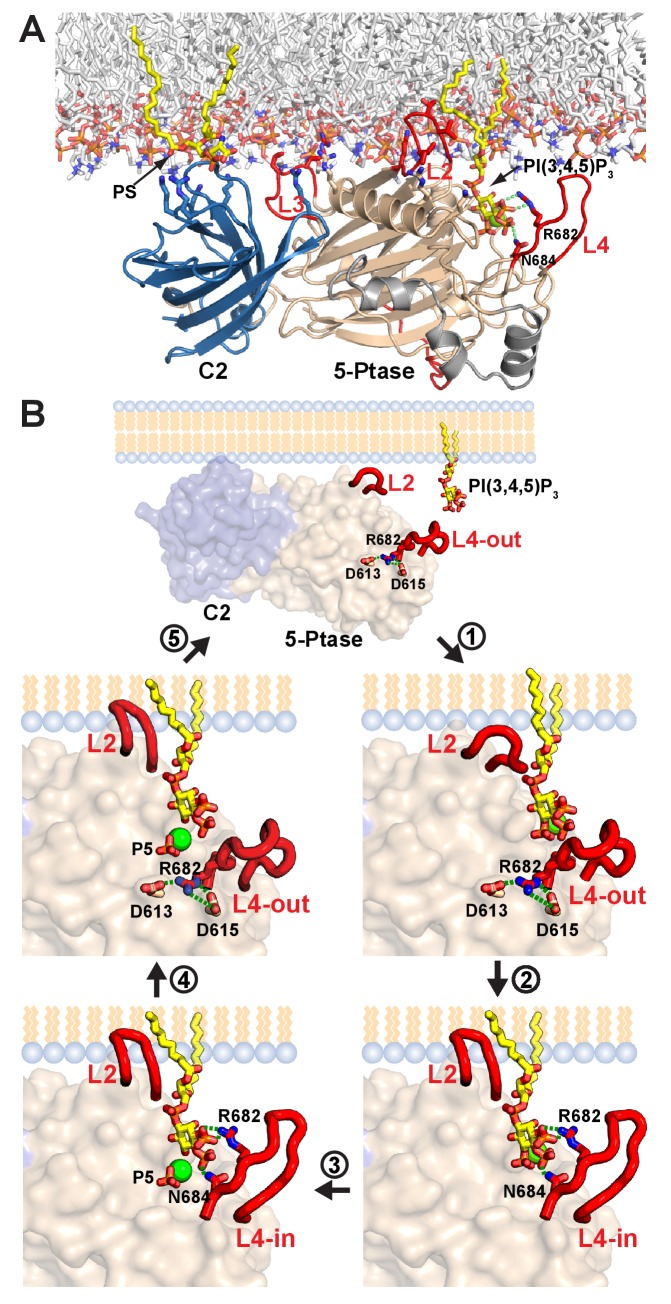 Figure 9.