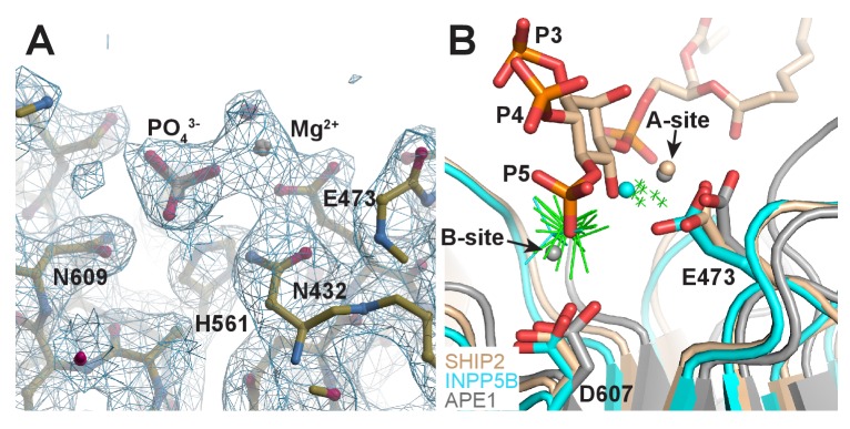 Figure 6—figure supplement 1.