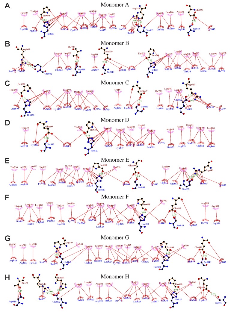 Figure 1—figure supplement 1.