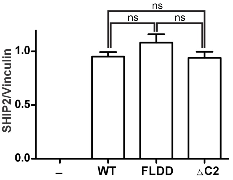 Figure 8—figure supplement 1.