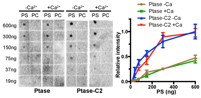 Figure 2—figure supplement 1.