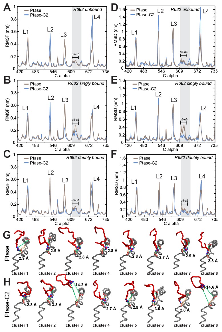 Figure 5—figure supplement 1.