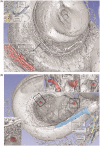 Figure 5.