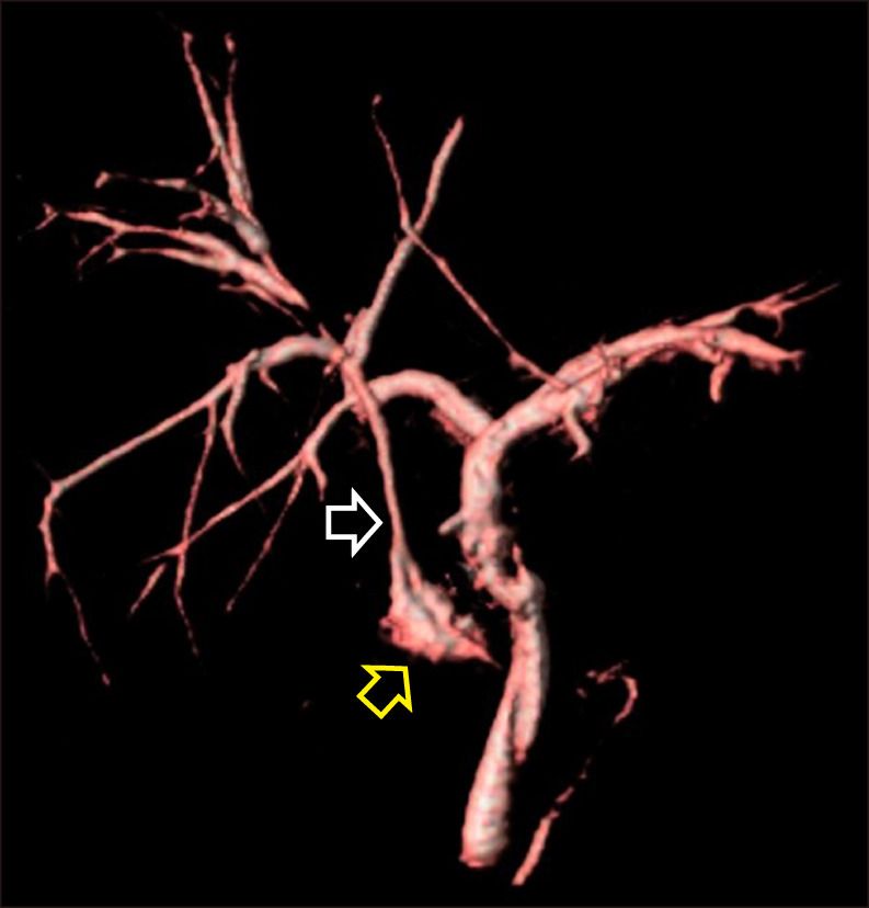 Fig. 8