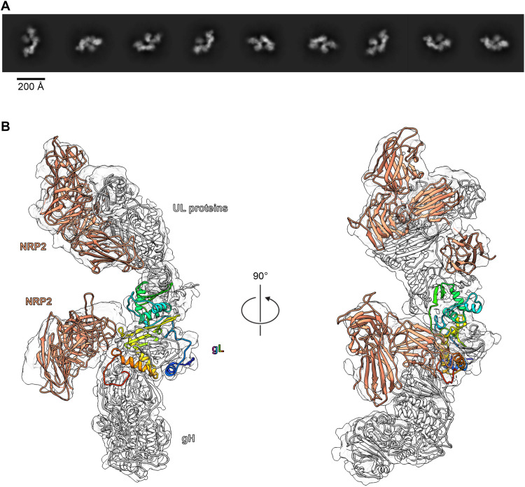 Fig. 3.