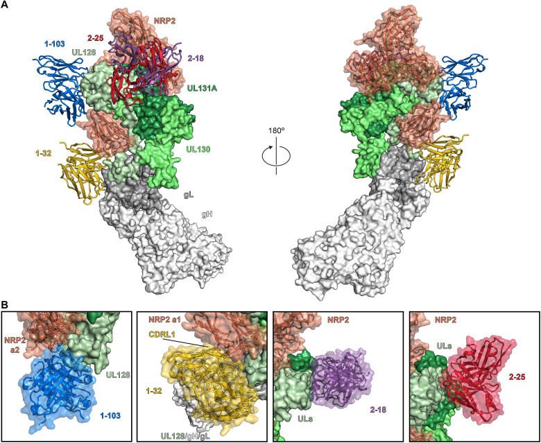 Fig. 6.