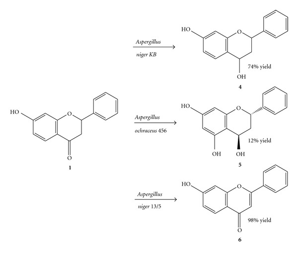 Scheme 2