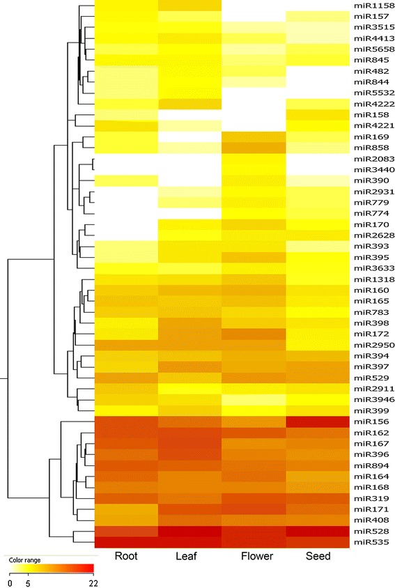 Fig. 3