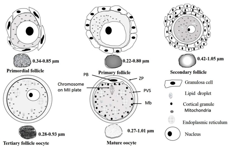 Figure 10