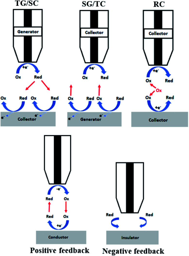 Fig. 4