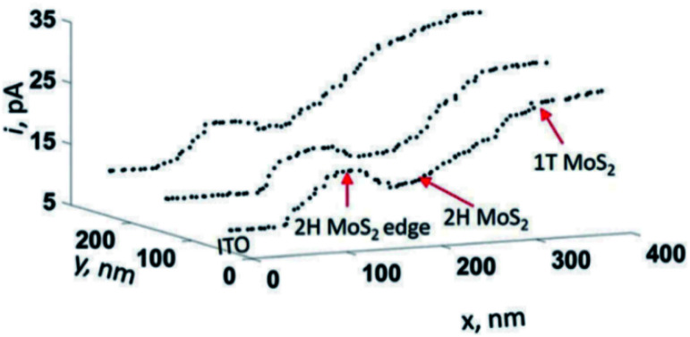 Fig. 24