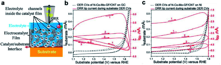 Fig. 20