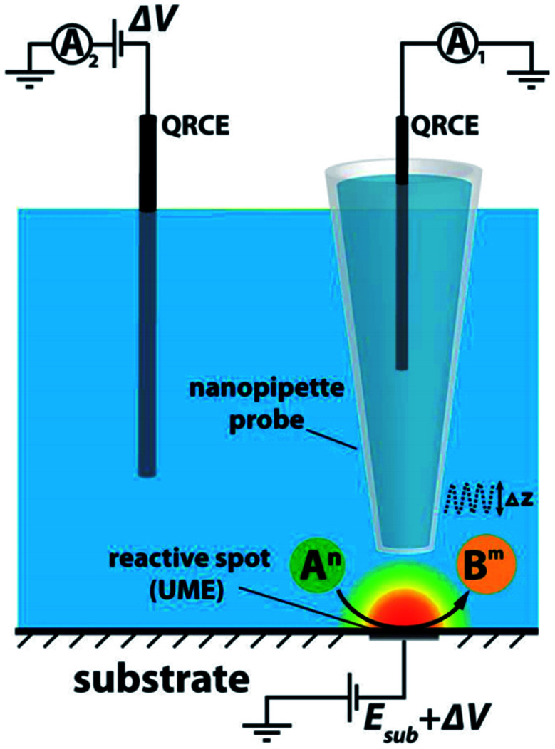 Fig. 6