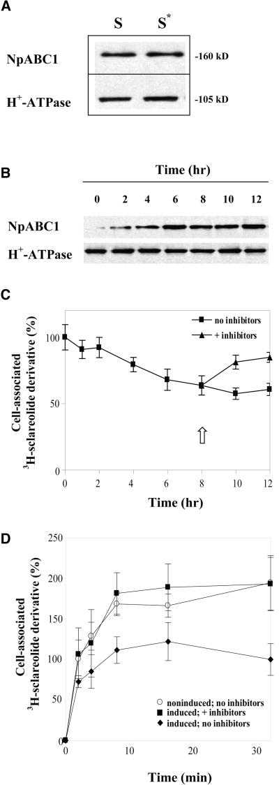 Figure 6.