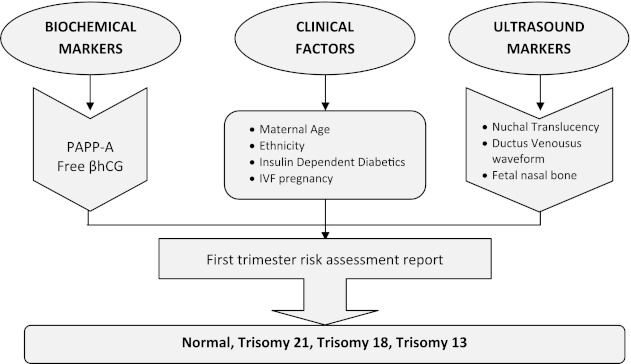 Fig. 1