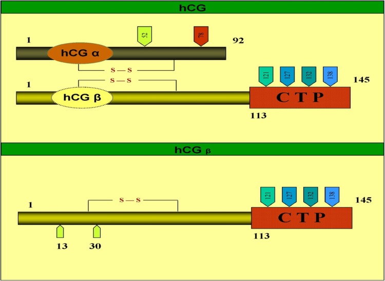 Fig. 5