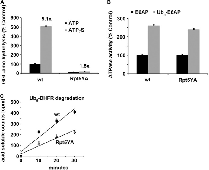 FIGURE 5.