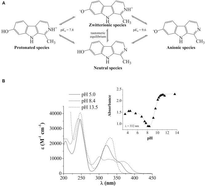 FIGURE 1