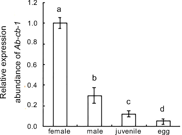 Fig 5