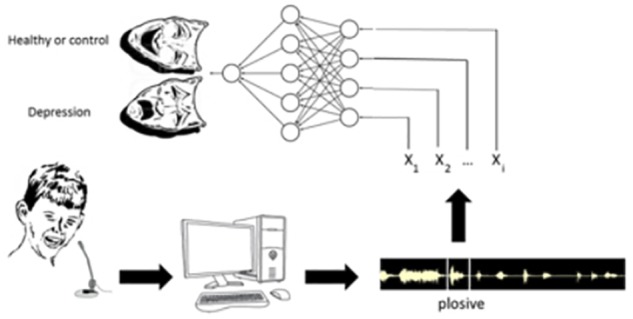 FIGURE 1