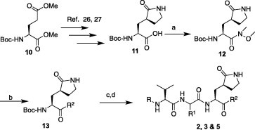 Scheme 2