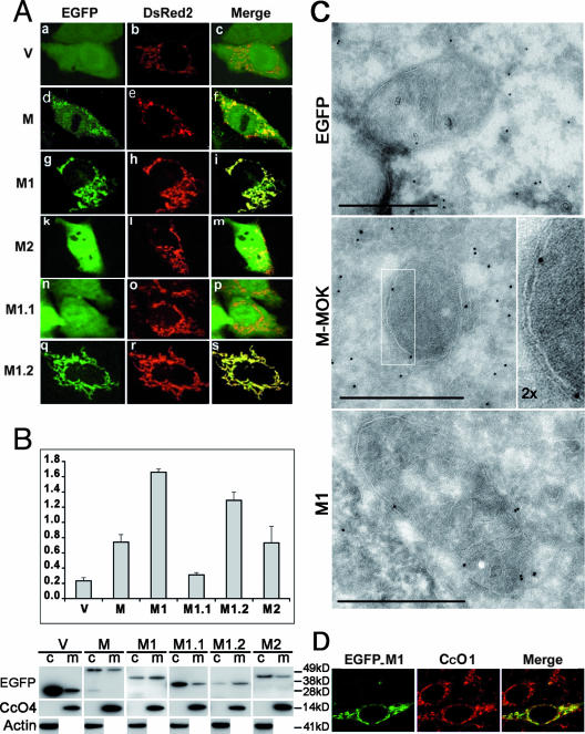 FIG. 4.