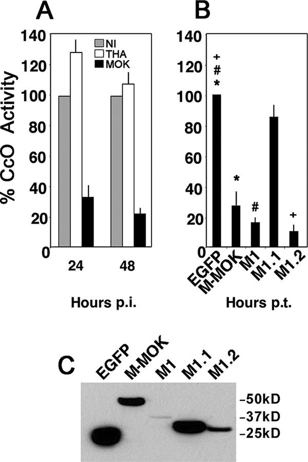 FIG. 6.