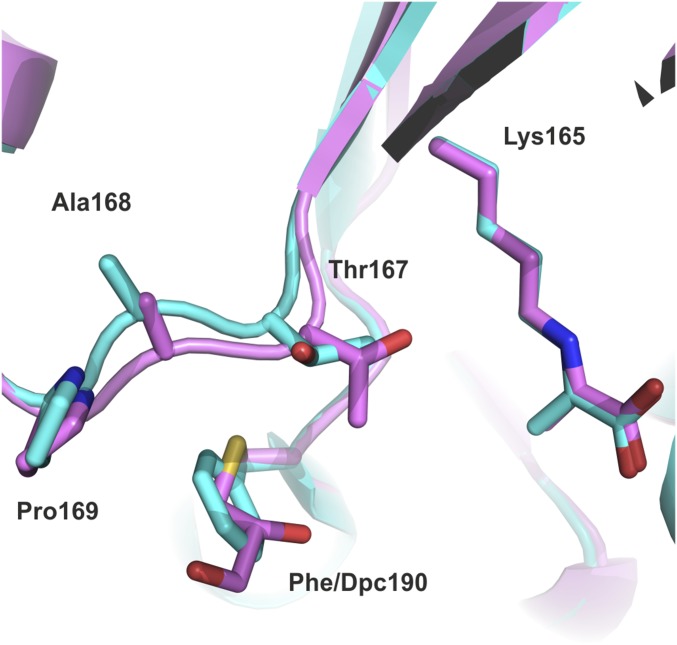 Fig. S6.