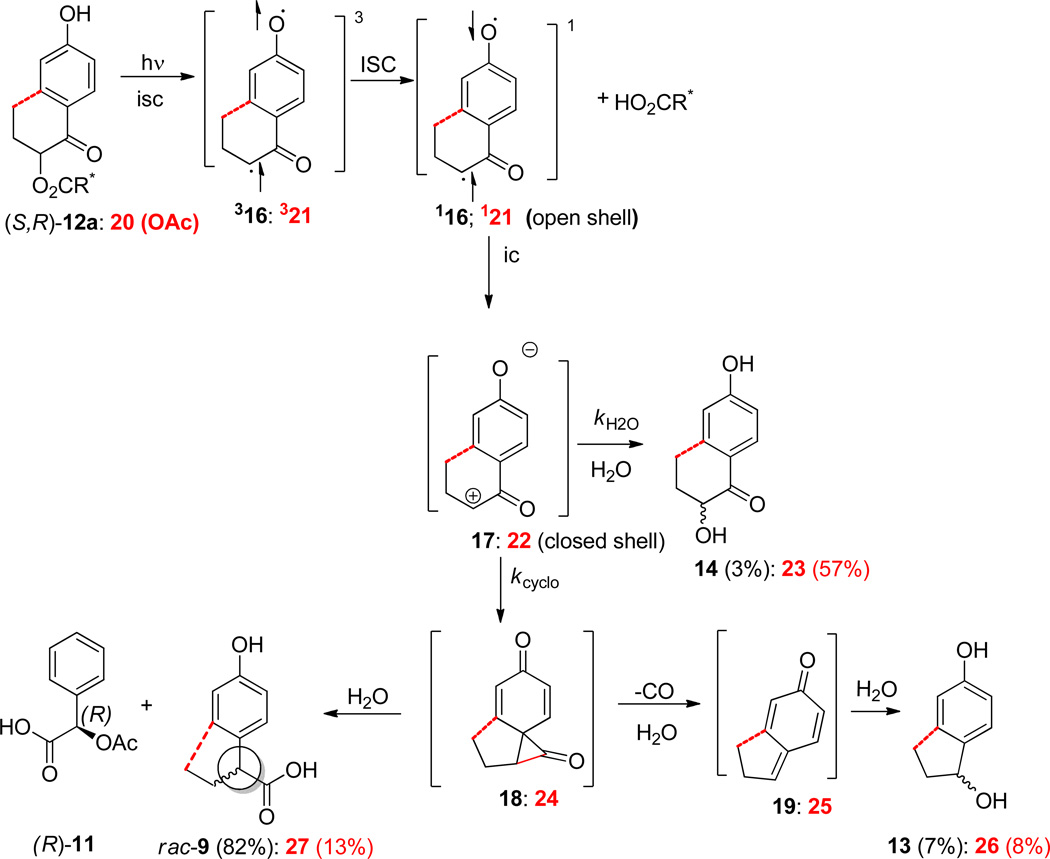 Scheme 6