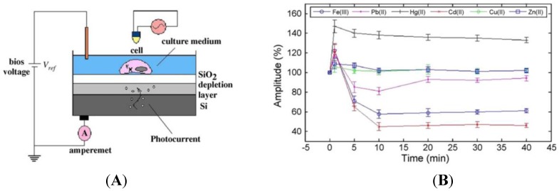 Figure 20