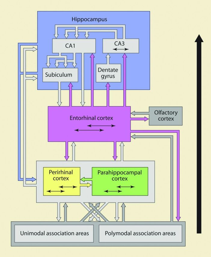 Fig 3.