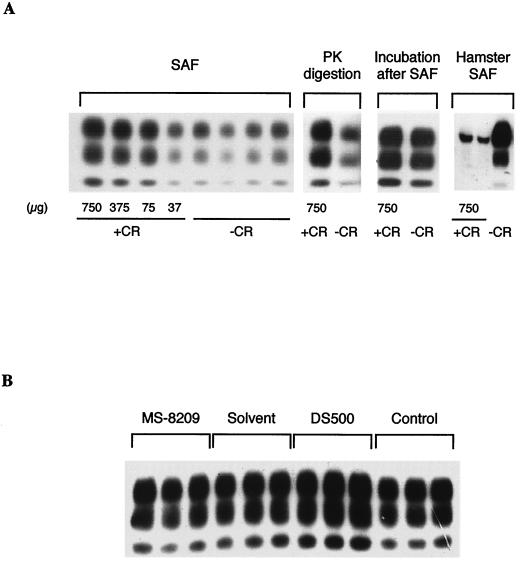 FIG. 7