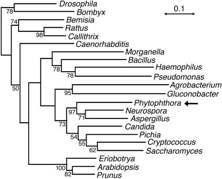 FIG. 5.