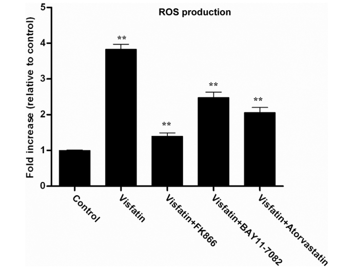 Figure 4.