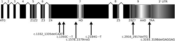 Figure  2