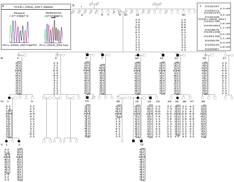 Figure  1