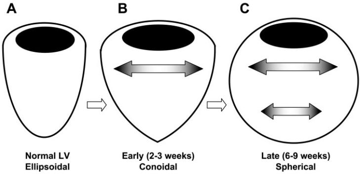 Fig. 6