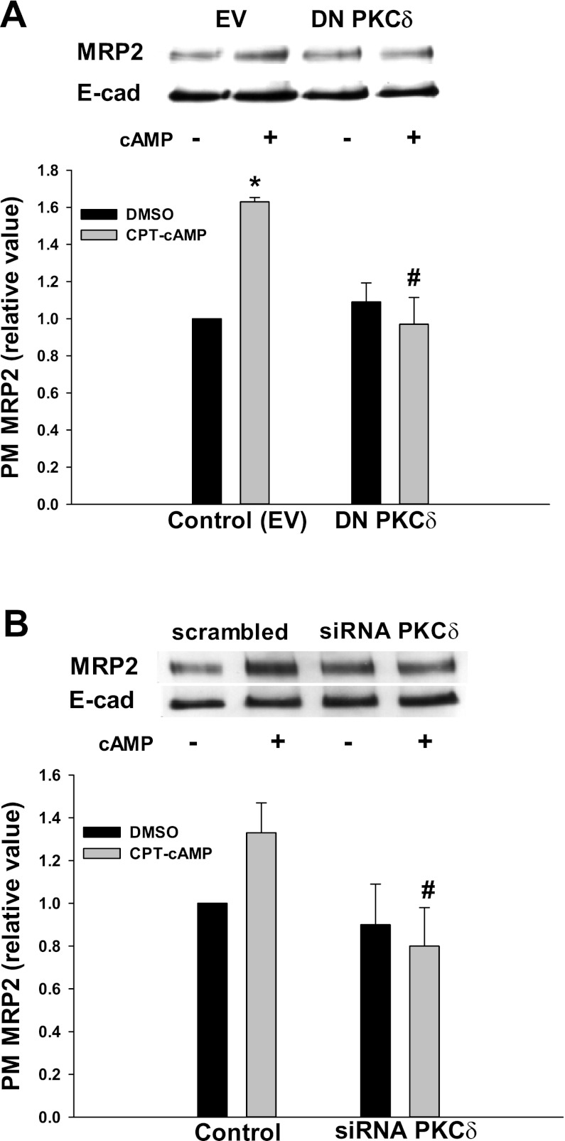 Fig. 10.