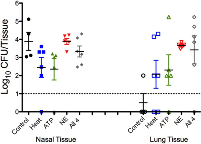 FIG 6  