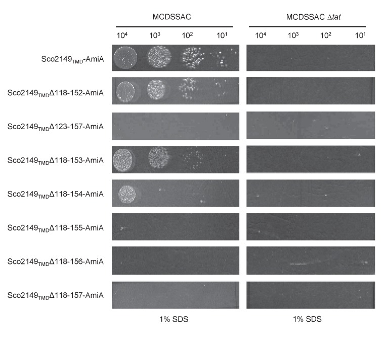 Figure 1—figure supplement 1.